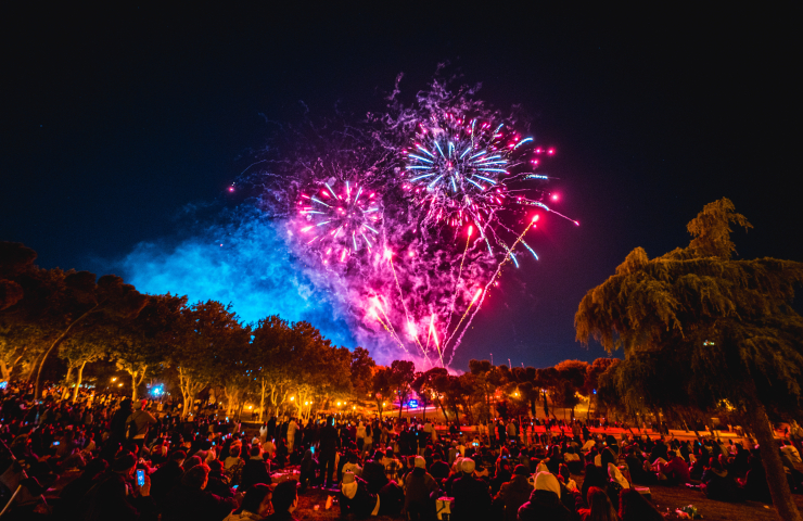 Fuegos artificiales